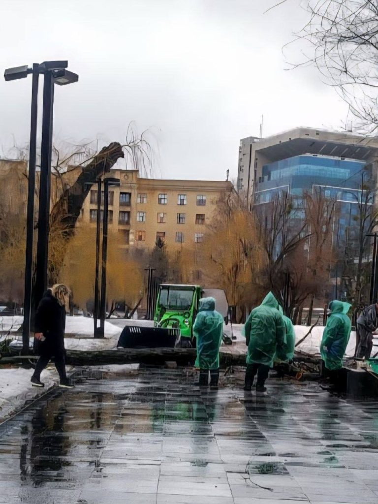 дерево упало в Харькове