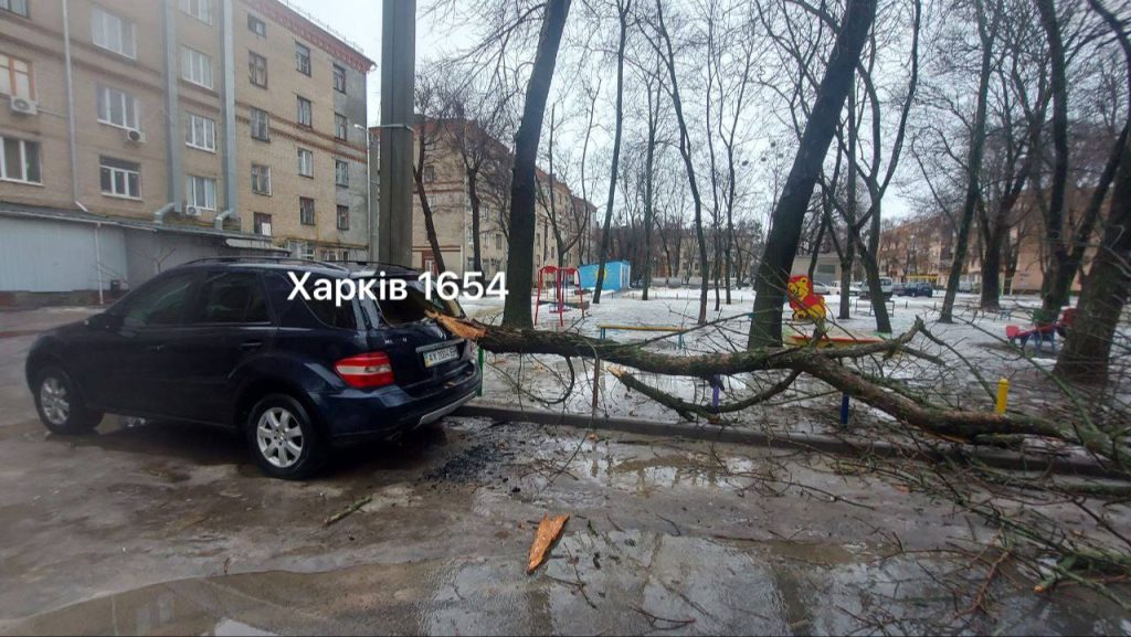 дерево упало в Харькове