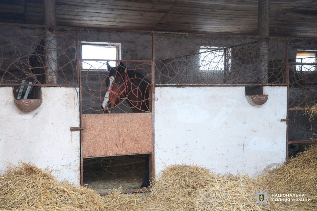 Коні в стайні