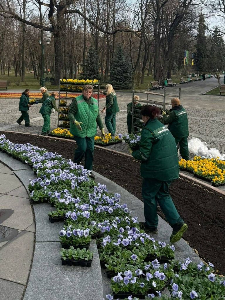 Клумба біля пам'ятника Шевченку