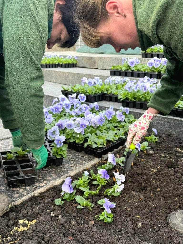 Клумба біля пам'ятника Шевченку