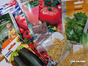 Мерія Харкова оприлюднила вартість насіння, ґрунту та горщиків