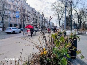 11 березня у Харкові та області — невелика хмарність, до +15