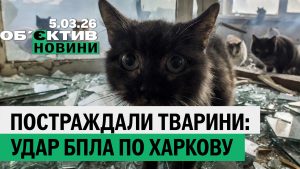 Підсумки 5 березня: у Харкові постраждали тварини, в Ізюмщині починають відновлювати ліси