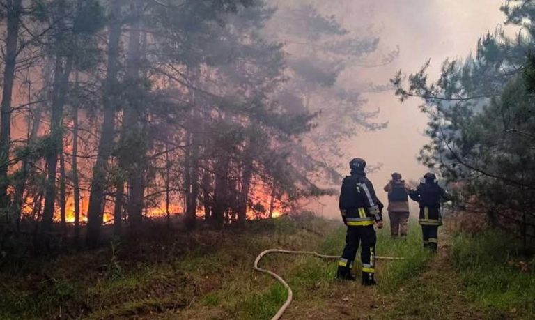 У Харківській області рятувальники досі борються з вісьмома лісовими пожежами