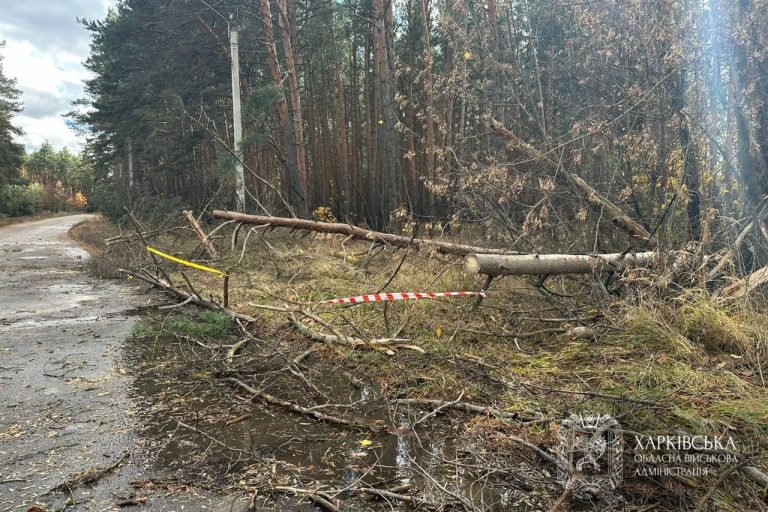 Після шквалу на Харківщині близько 3,5 тисячі абонентів досі залишаються без електропостачання