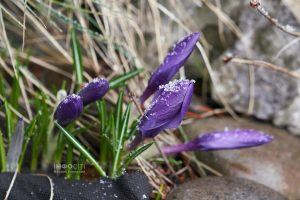 Метеорологи оголосили штормове попередження для Харкова та області