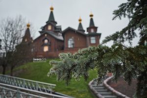 2 квітня у Харкові й області: дощ, туман і +19°С удень