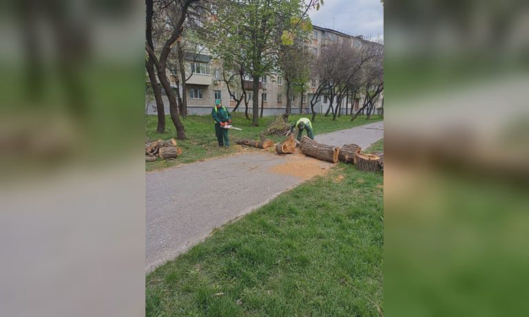Після шквалу в Харкові: ліквідація наслідків та звернення Терехова до містян