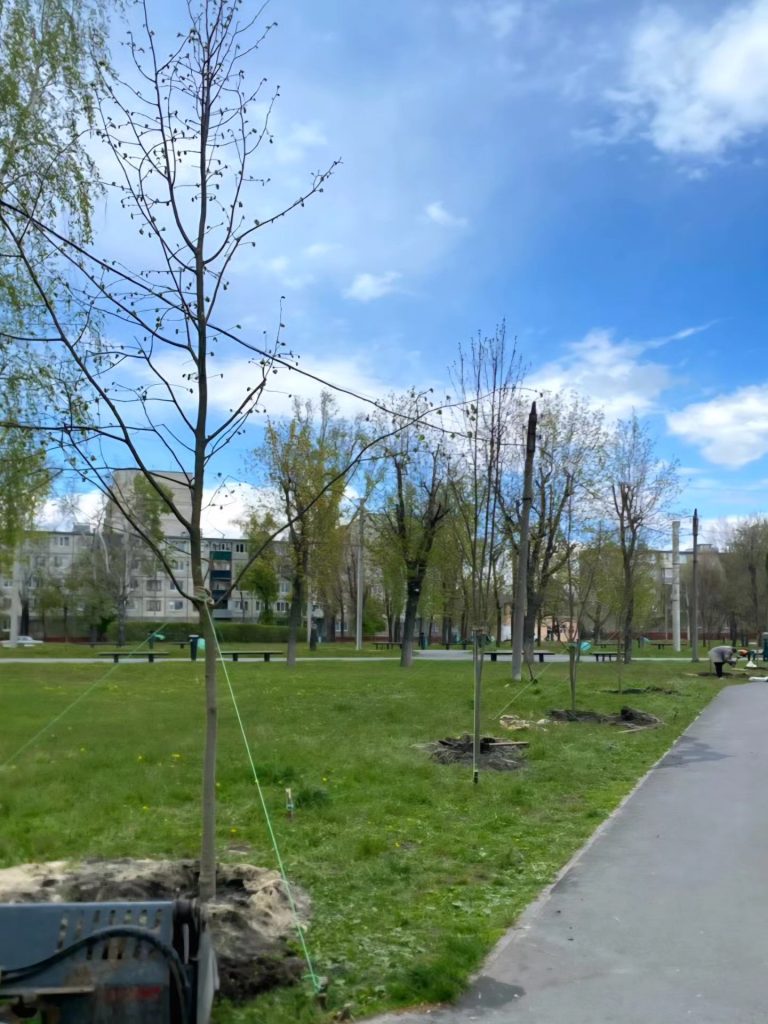 алея лип у Харкові