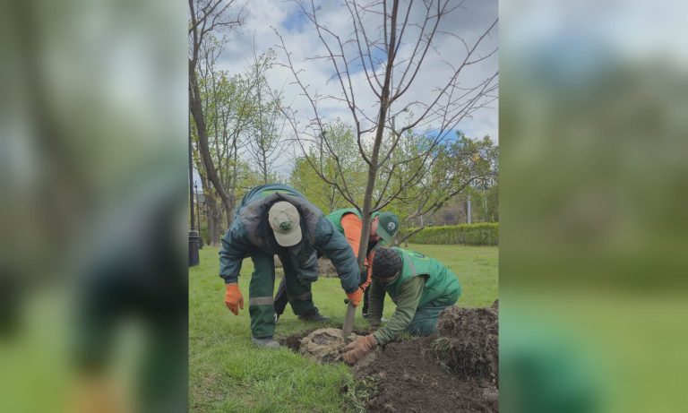 Весна в Харкові: набережну прикрашають нові дерева, а на ХТЗ встановлюють фонтан 📷