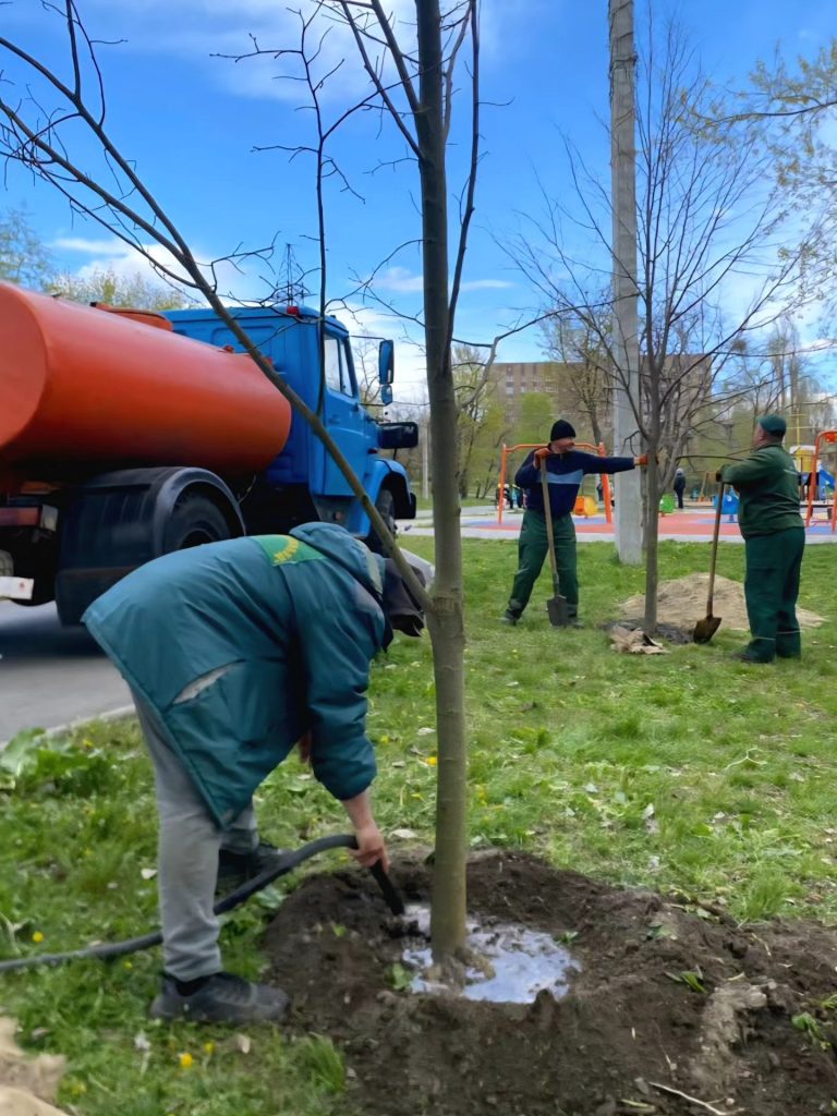 алея лип у Харкові