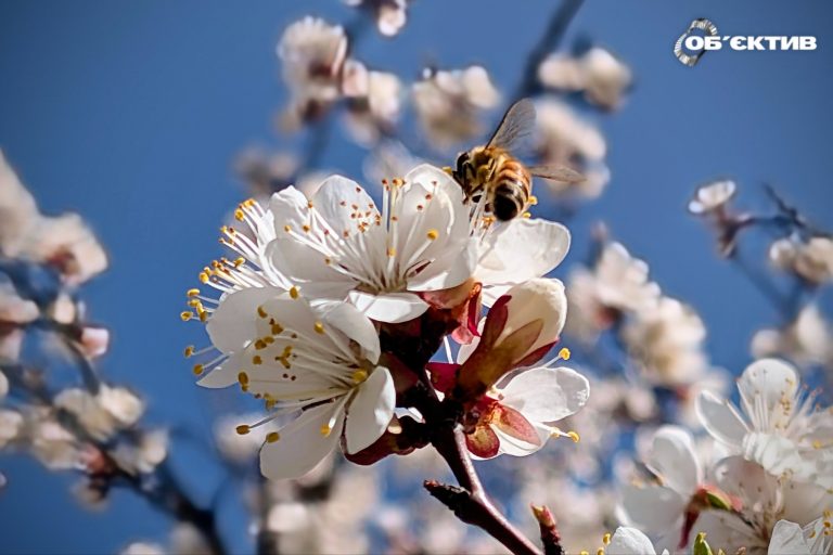 Ракети та атаки дронів по Харкову — де вже відновили дороги, підсумки 25 квітня
