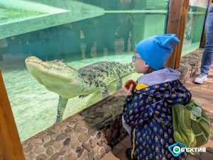Харківський зоопарк запрошує на безкоштовні екскурсії, лекції та квести