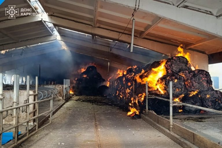 Більше 500 агрофірм на Харківщині зазнали руйнувань або пошкоджень