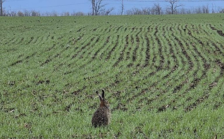 Зростання цін на пальне в Харківській області: кому виплатять компенсації