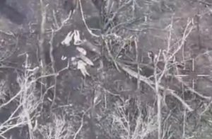 Прокуратура відкрила кримінальне провадження через розстріл українських військовополонених на Харківщині