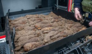 Сапери на Харківщині виявили та вилучили боєприпаси часів Другої світової війни