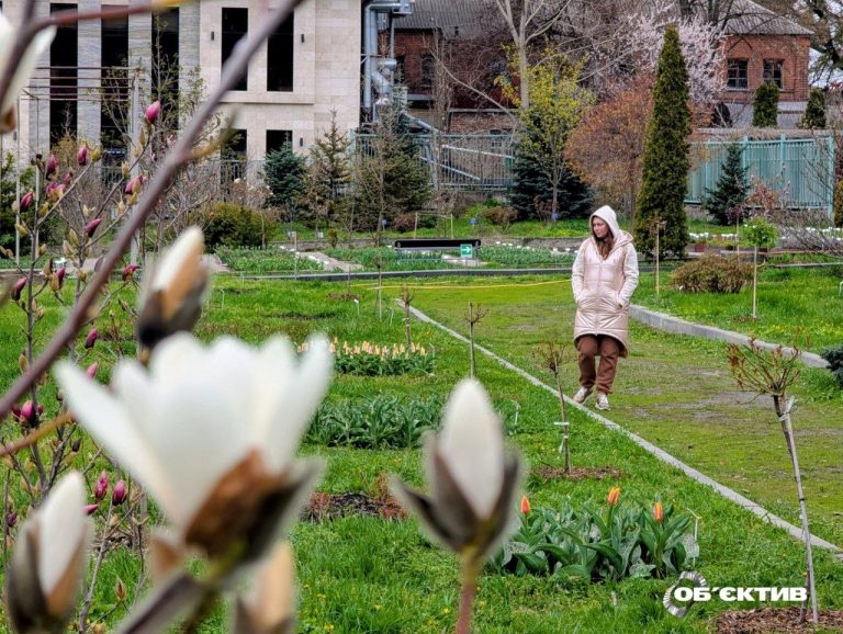 Морози тривають, на півдні випадає сніг — прогноз погоди для Харкова й області на 21 квітня