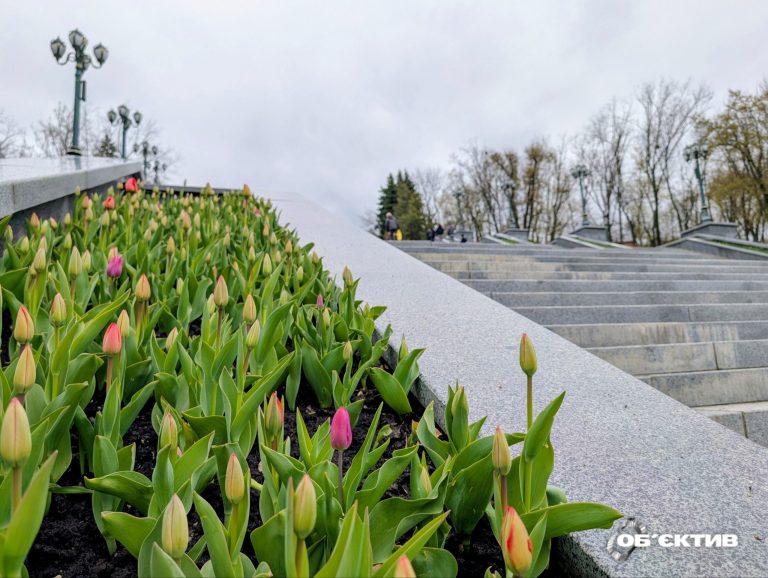 У Харкові та області 22 квітня очікуються небезпечні заморозки та опади — прогноз погоди