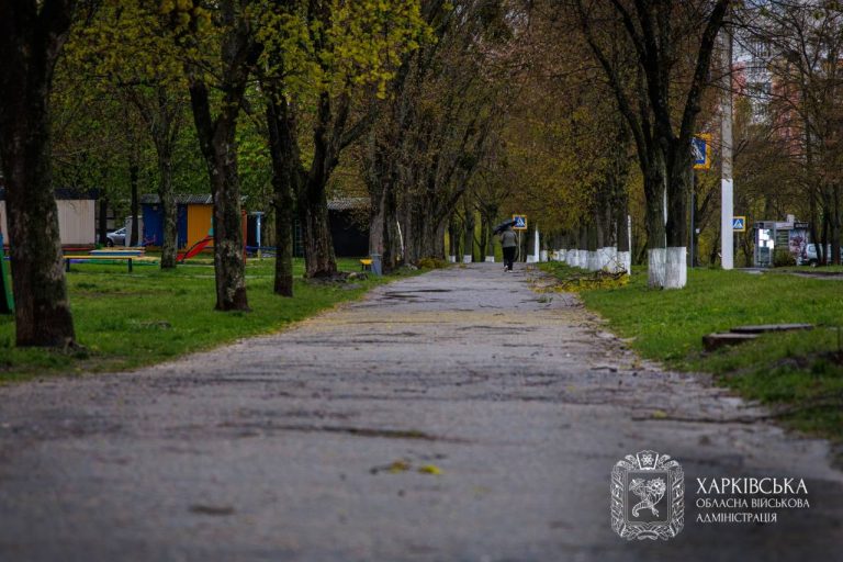 У Харкові під час шквалу постраждала пенсіонерка — на неї впав шифер