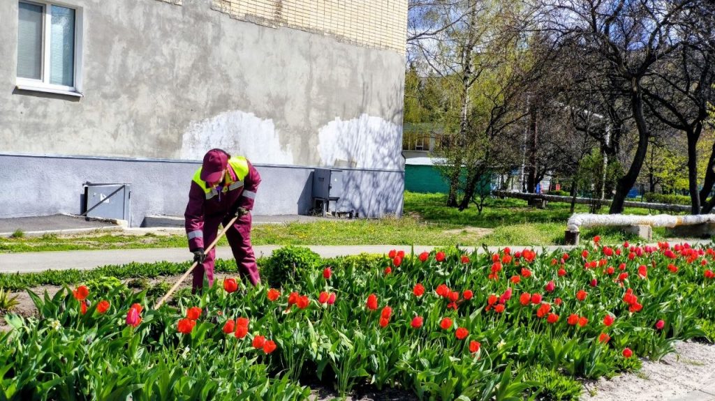 клумбы в Харькове