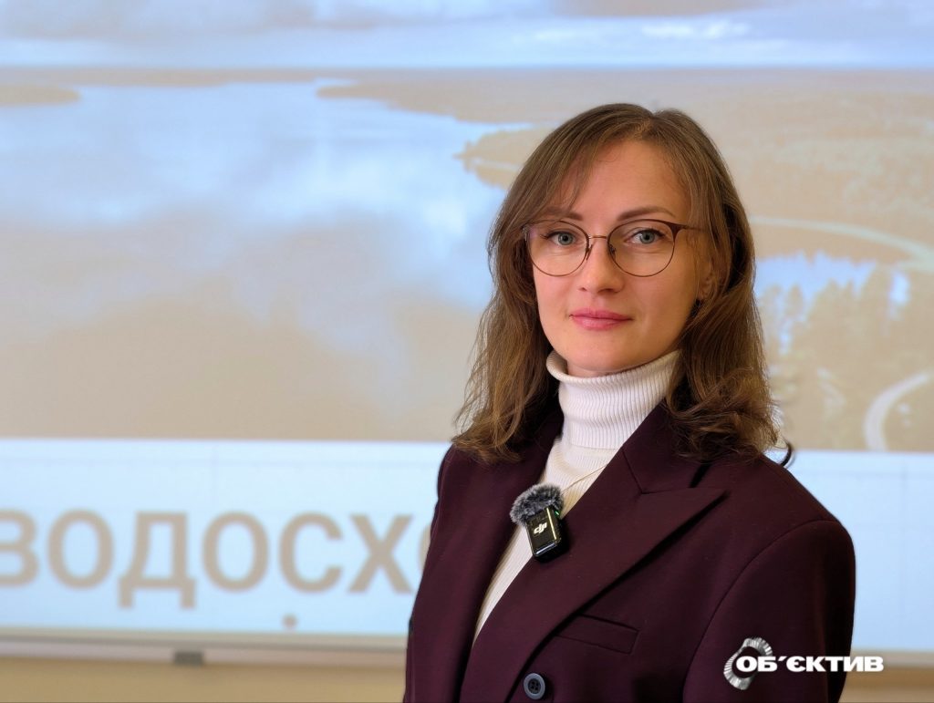 Печенізьке водосховище — узбережжя