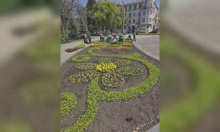 У Харкові під пам’ятником Шевченка облаштовують яскраву клумбу — які квіти садять 📷