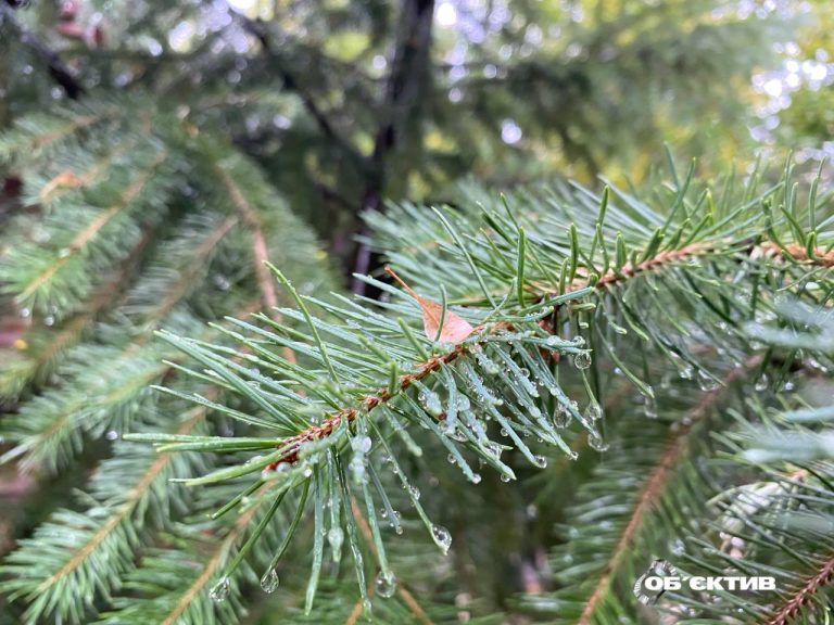 Дощі накриють Харківщину: погода на 18 травня