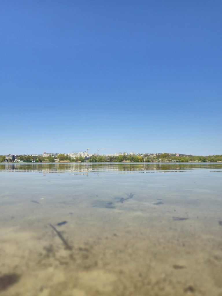 Верби висаджують у Журавлівському гідропарку