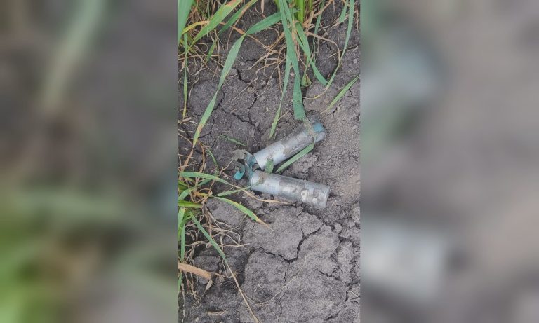 Науковці на Харківщині виявили загадкові «невідомі подарунки» (фото)
