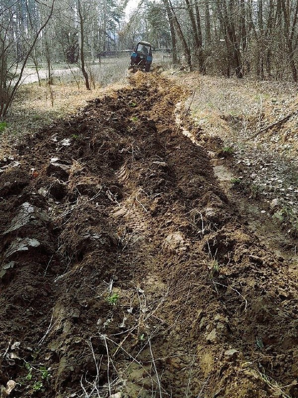 роботи в лісах Харкова