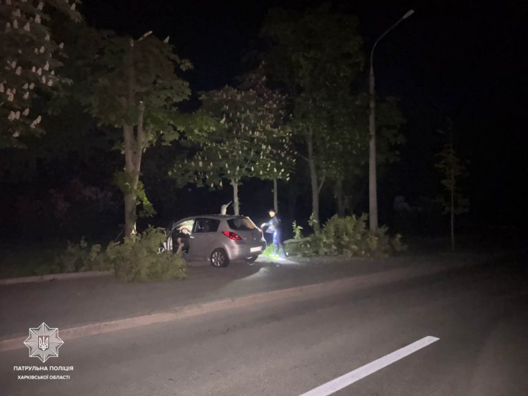 У Харкові вночі нетверезий водій в’їхав у дерево — патрульна поліція