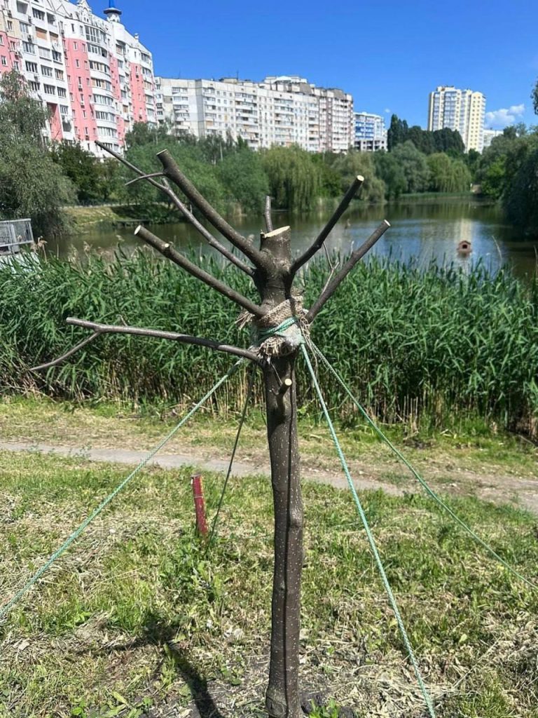 деревья повредили в Харькове