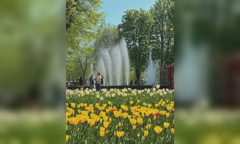 Тепла й комфортна погода: прогноз для Харкова та області на 9 травня