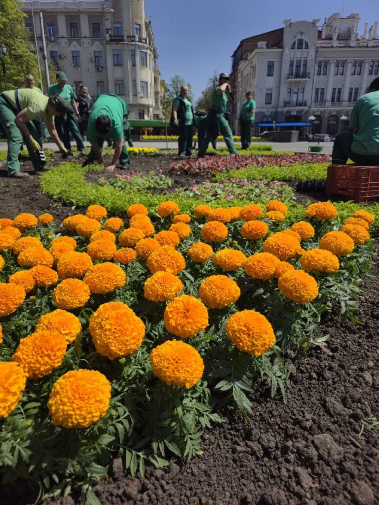 клумба біля пам'ятника Шевченку