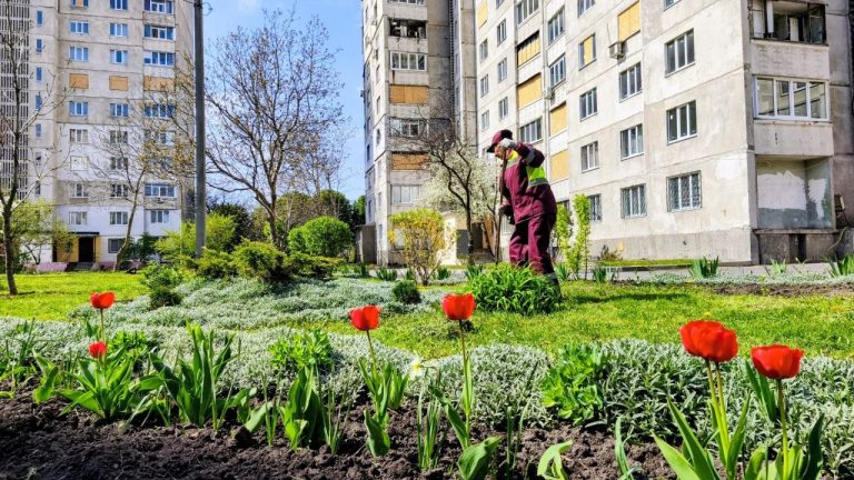 У Харкові облаштовують велику клумбу — дивіться, що там висадили (фото)