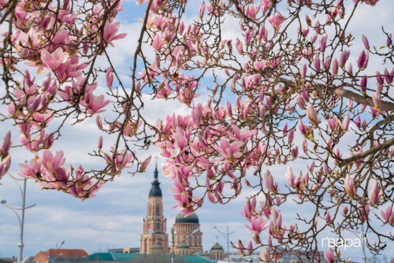 У п’ятницю в Харківській області очікують перемінну хмарність