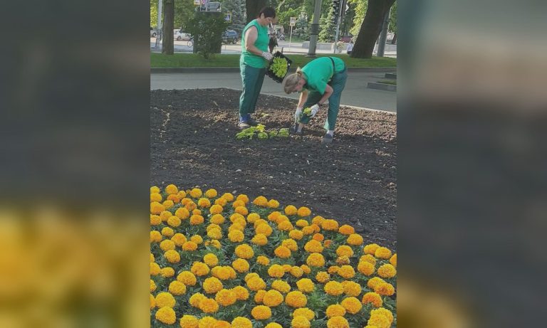 У саду Шевченка в Харкові упорядковують новий квітник (фото)
