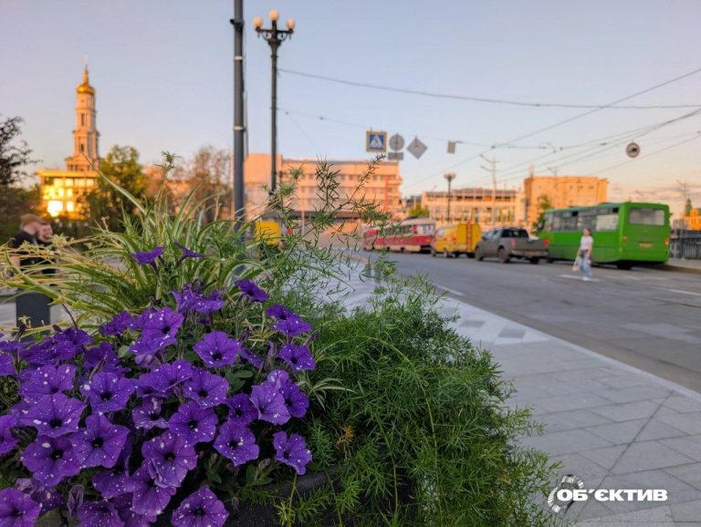 26 травня в Харкові та області: тепло, проте можливі шквали
