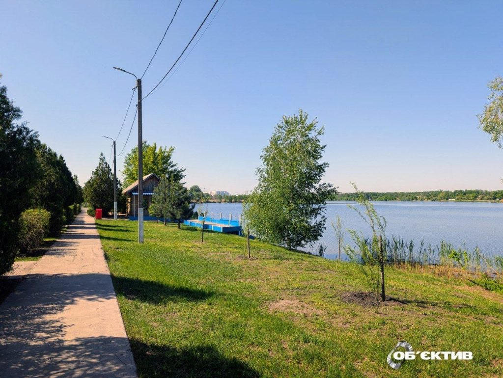 Саджанці дерев