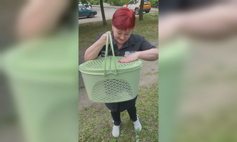 У Харкові рятували кішку, яка три дні не могла спуститися з дерева 📹
