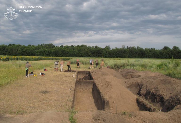 Суд повернув державі історичні землі Харківщини, засіяні пшеницею