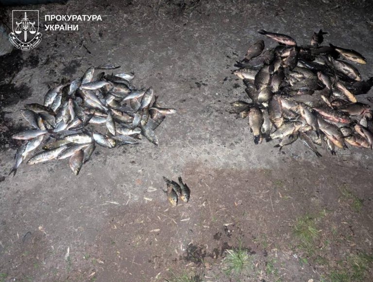 Прокуратура: на Харківщині браконьєр виловив рідкісну рибу з Червоної книги