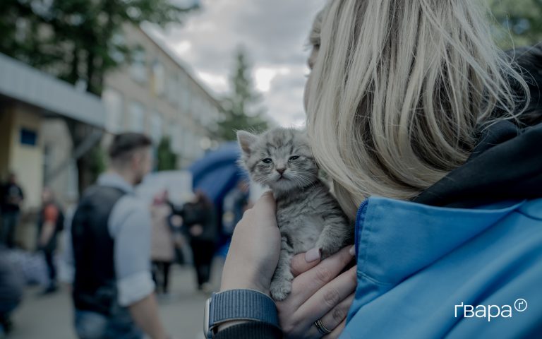 Із небезпечної зони Харківщини вивезли людей разом із їхніми тваринами