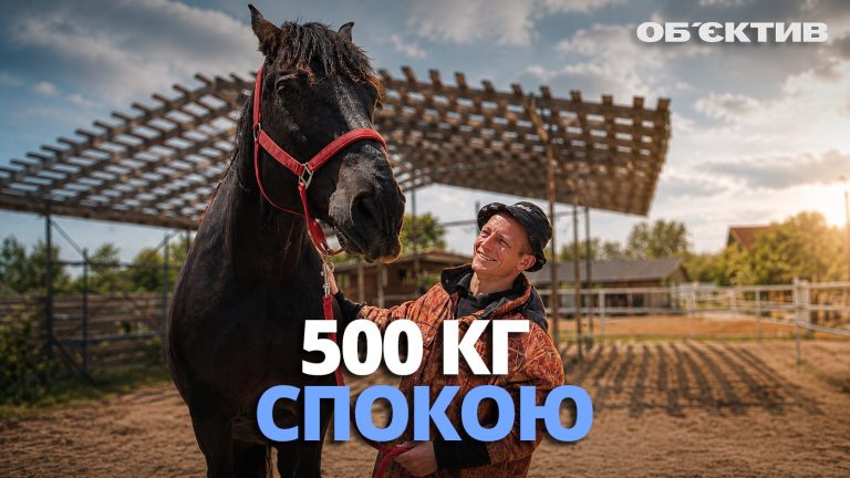 Живі датчики настрою: як «500 кг спокою» лікують душі під Харковом (відео)