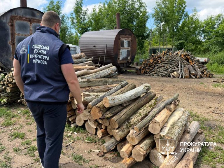 За знищення дерев у передмісті Харкова оголосили підозру через збитки на 320 тис грн