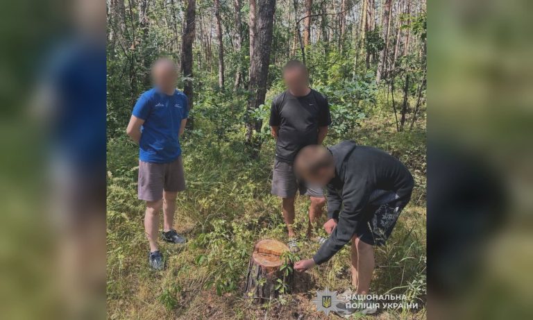 У лісі на Харківщині затримали молодого хлопця — йому загрожує тюремне ув’язнення