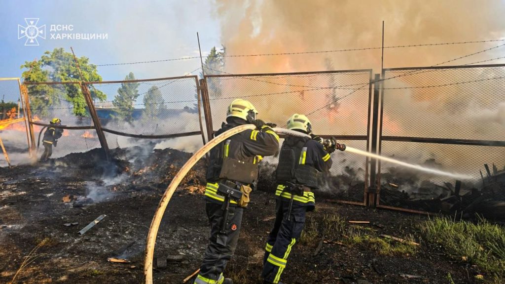 Рятувальники під час ліквідації пожежі у Васищевому