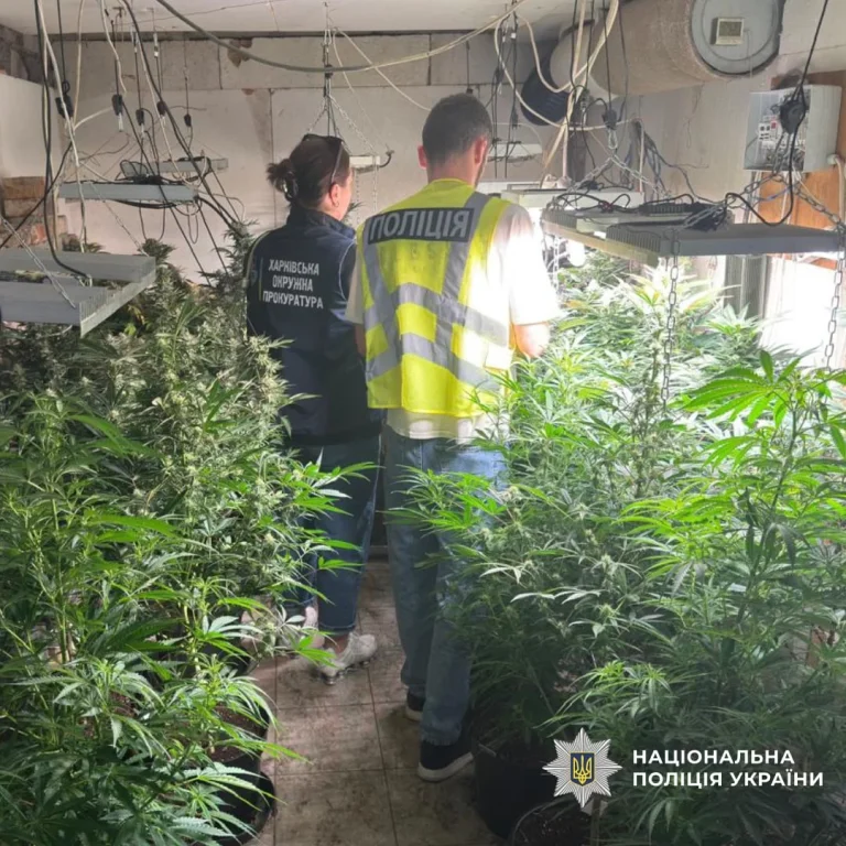 Правоохоронці на Харківщині в рамках операції “Дентльмени” вилучили близько 28 кг канабісу